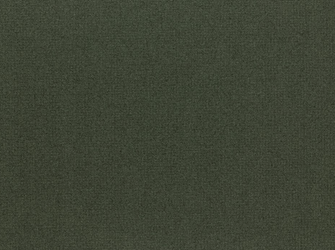 Colourmount 3030 Leaf Green (Liść) Karton dekoracyjny Passe-Partout